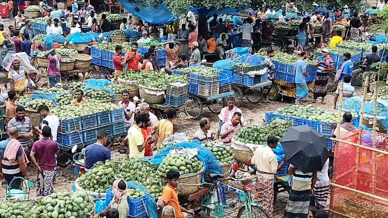 mango-market-in-chapainawabganj-on-monday-23-june-2025-e4c1014198f8d437ce00000eb625c47b1750769714.jpeg