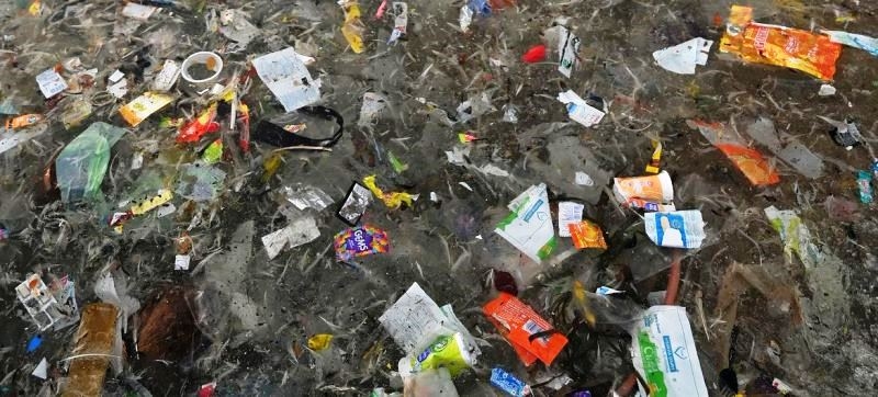plastic-waste-is-washed-up-on-a-beach-in-india-d9b62aa241456ff73edf820b07dcf2e41755147889.jpeg