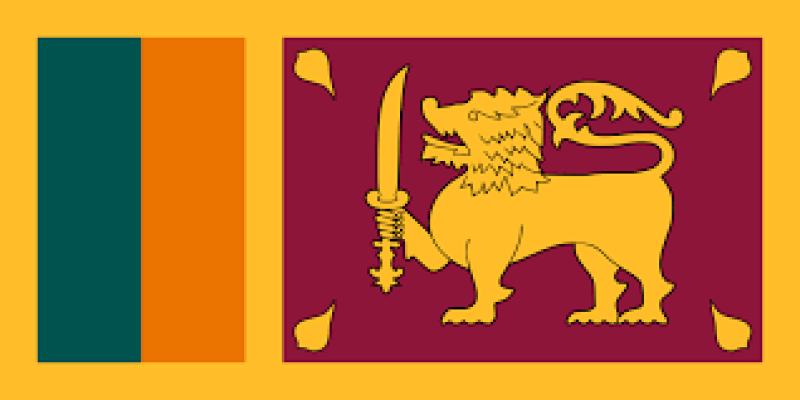 sri-lanka-flag-f9991c7a870f9cd48246867ae2d7b8151760543972.png