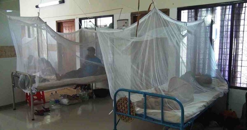 dengue-patients-9ef29c55dc3669c418c337c1815387ed1763523199.jpg