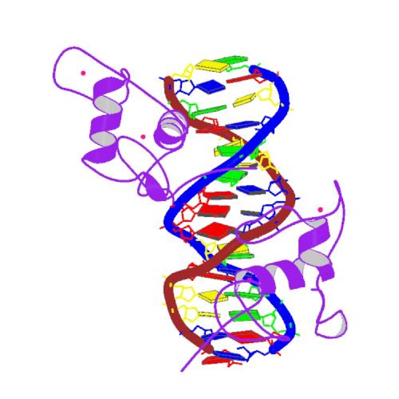 protein-rxra-image-c981760f3e4a184cd0fe4e6fa75d6c4d1766372481.jpg