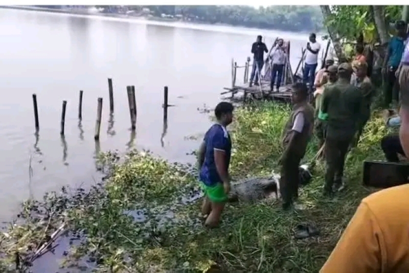 the-lone-crocodile-from-the-historic-pond-of-khan-jahan-ali-shrine-in-bagerhat-was-taken-to-a-wildlife-rehabilitation-centre-in-khulna-on-wednesday-0268bc53fb2138dc8637b1c74d7606d21780487885.jpg