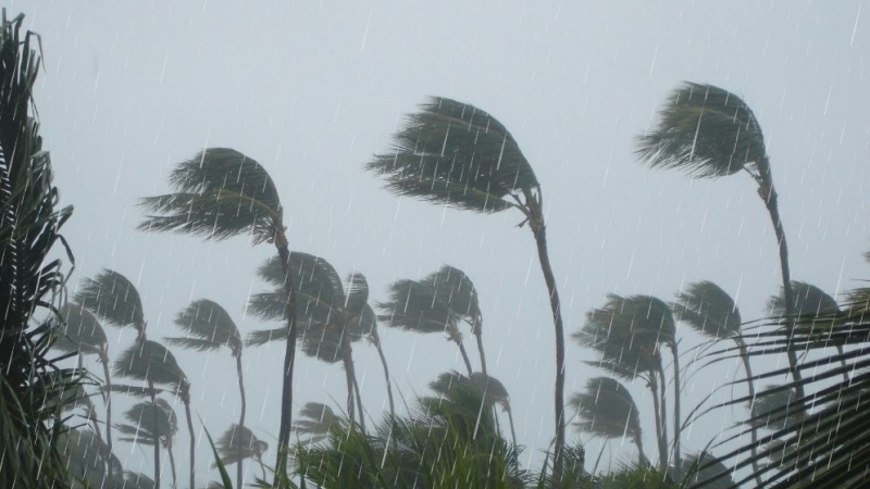 rain-thunderstorm-6a51b3e55c425-e6ee7fb6023a46c1c8e6f6ca46c8c5921783743377.jpg