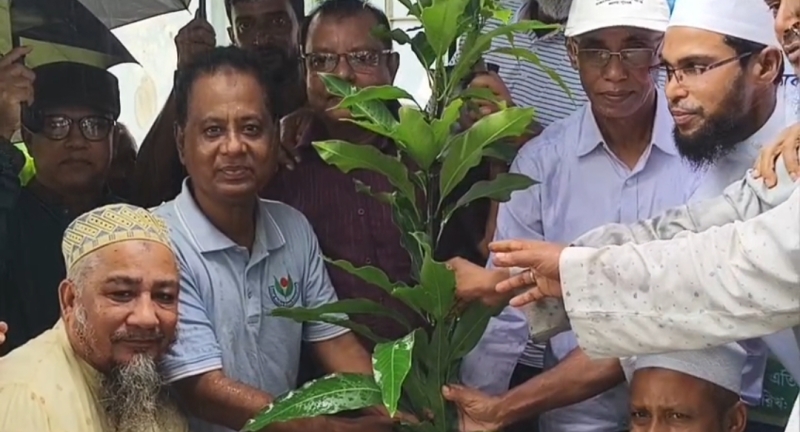 mp-mosharraf-hossain-launched-tree-plantation-program-of-ulama-dal-in-kalapara-on-friday-ec4e9a4e233395b9f18d7167eb259bc81786127479.jpg