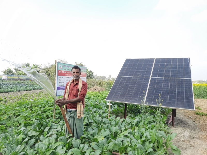 agroecological-farming-in-bangladesh-b328d63c76e5168658bac65c829495741788840484.jpeg