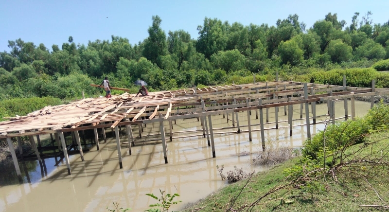 construction-work-going-on-neat-kuakata-mangrove-forest-without-any-hindrance-94b1a66b178425d12fc7f5973ed796e31789493616.jpg