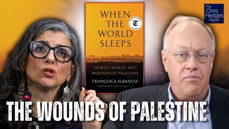 the-wounds-of-palestine-7e140890cff3b3d801e91c7c38e40c391791049207.jpg