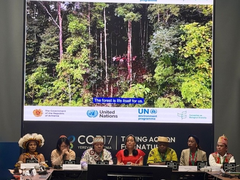 indigenous-leaders-from-brazil-drc-indonesia-gambia-peru-and-thailand-are-named-the-indigenous-peoples-ambassadors-for-primary-forests-at-cop17-3287cb3b0962006eb8325059ac3638f31793381289.jpeg