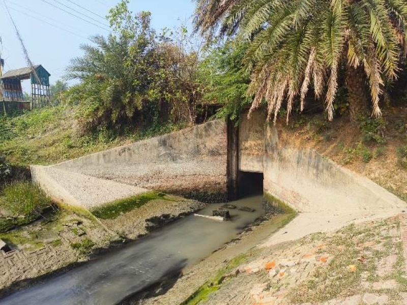 hetalbaria-canal-in-kalapara-is-now-practically-dead-ad18b625d8b102114368012bd1a5fde81741973968.jpg