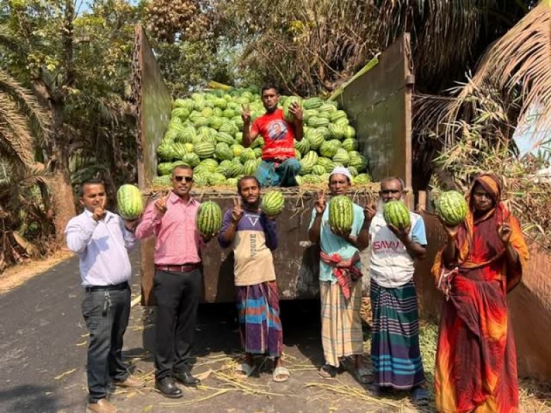 bumper-harvest-of-watermelon-in-kalapara-3b7d1149be889f03fe075f607bba62e71742630852.jpg