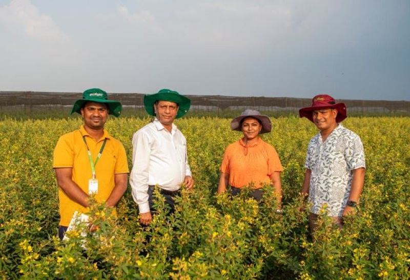 icrisat-scientists-at-an-extreme-heat-tolerant-peagionpea-field-in-hyderabad-inida-f9447804da4e384922241e50d5f96d2d1749493925.jpg