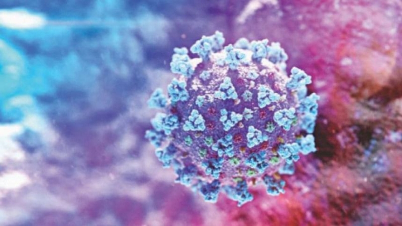 coronavirus_20_0-0a73147f5c6f2fc77d0d17b88ac9a6da1750602129.jpg